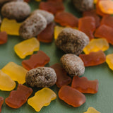 Chocolate Covered Gummy Bears