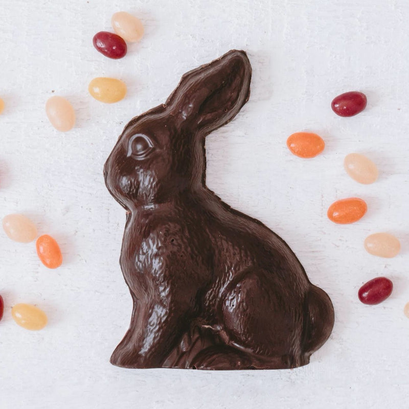 Large Solid Dark Chocolate Bunny